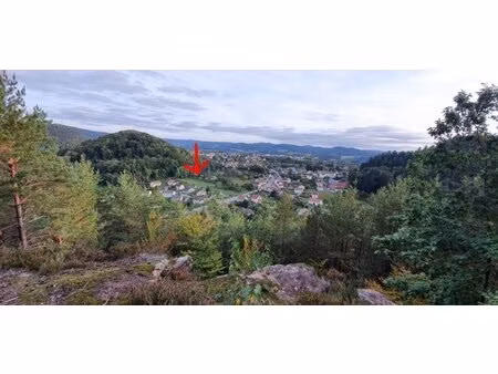 en vente terrain non constructible 3 900 m² – 85 400 € |bruyères