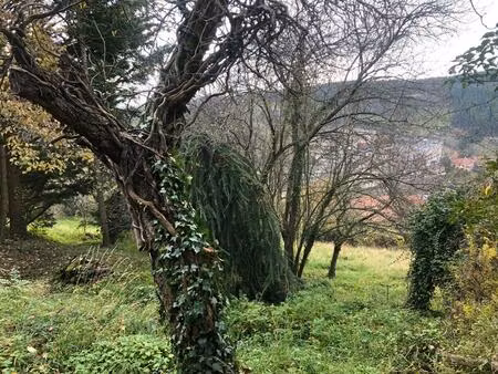 vente terrain 1223 m² thizy-les-bourgs (69240)