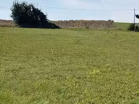 terrain