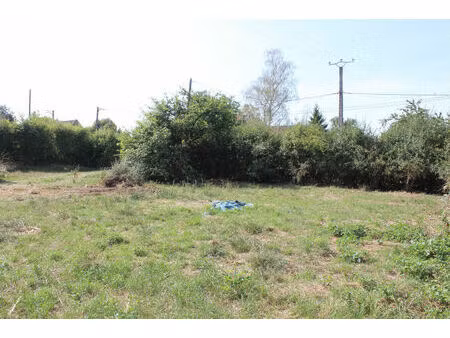 vente terrain 1054 m² venouse (89230)