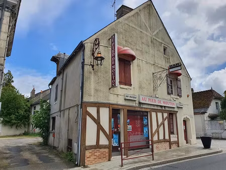 vente immeuble 13 pièces 356 m² à chemery (41700)  169 900 €