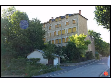 vente immeuble 900m2 pont-de-salars 12290 - 250000 € - surface privée