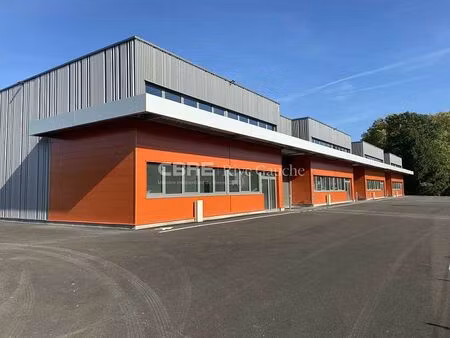 location local d'activités eschau 368 m²