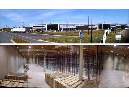 location locaux professionnels 55000 m² à montbartier (82700)  293 083 €