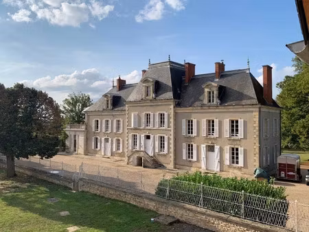 vente château 21 pièces 550 m² à saint-pierre-le-moûtier (58240)  695 000 €