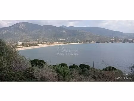 vente terrain