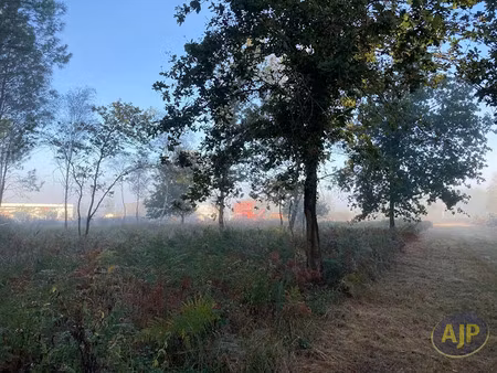 vente terrain 3290 m² à cissac-médoc (33250)  86 800 €