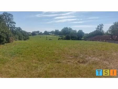 terrain constructible