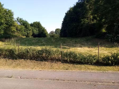 vente terrain 10700 m² escarmain (59213)