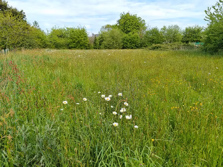 terrain monteneuf 1980 m²