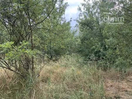 à vendre terrain de 44 000 m² en bordure de rivière