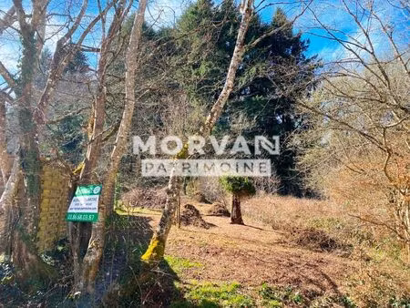 vente terrain 1354 m² saint-saulge (58330)