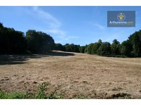 josselin terrain agricole 16 300 m²