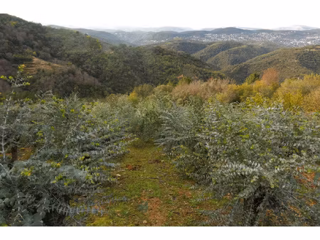 exclusivite terrain agricole tanneron