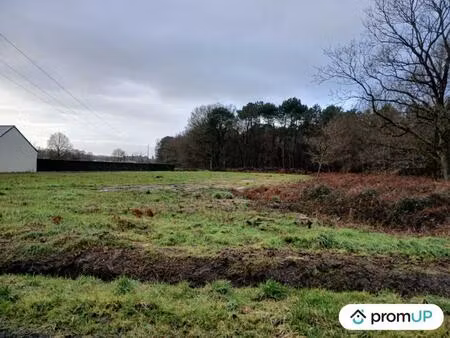 vente terrain 4000 m² saint-philbert-du-peuple (49160)