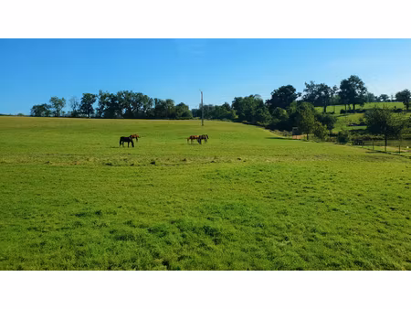 terrain viabilisé avec une belle vue panoramique