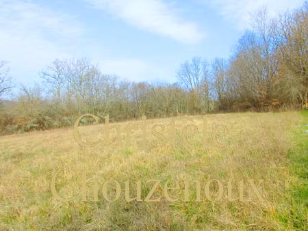 24390 tourtoirac : terrain a batir