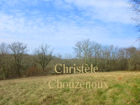 24390 toutoirac : terrain a batir