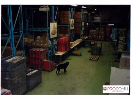 depot - entrepot a vendre - 78130 - les mureaux s a vendre