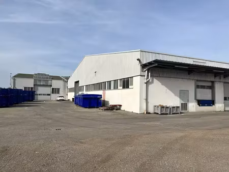 local d'activité a louer