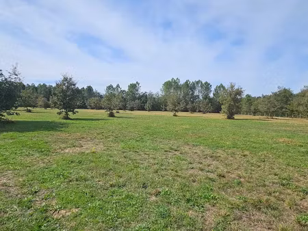vente terrain 11969 m² à cachen (40120)  210 000 €