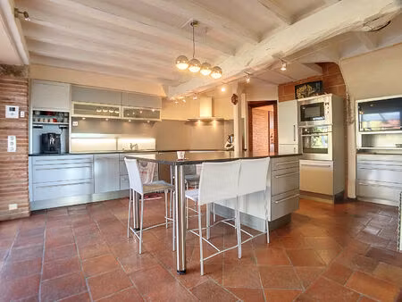 grande maison rénovée avec piscine  jardin et vue pyrénées