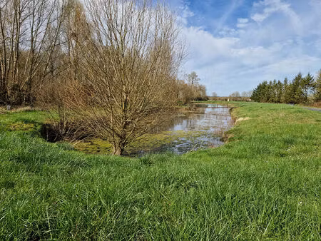 terrain de loisirs selles sur cher
