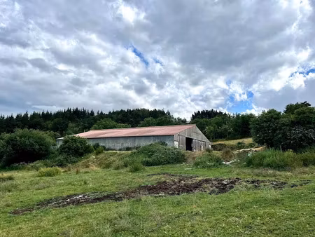 vente locaux professionnels 2 pièces 800 m² à ardes (63420)  213 000 €