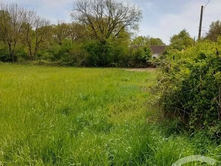 terrain à vendre - 9522 m2 - neuillay les bois - 36 - centre