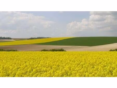 vente terrain 120000 m² guilly (36150)