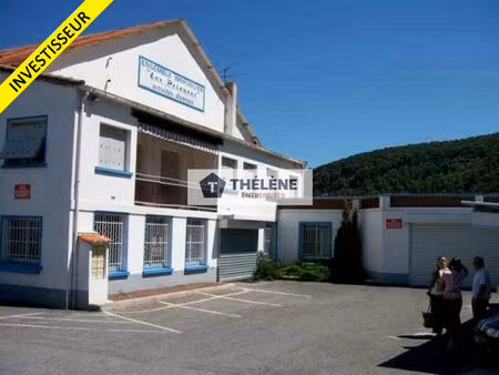 vente commerce 2950 m² la grand-combe (30110)