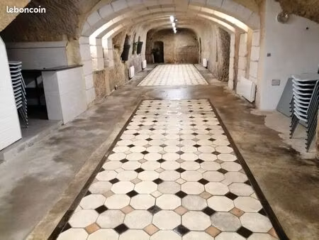 cave festive a louer