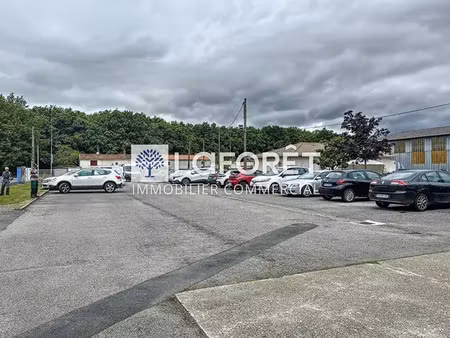 locaux d'activités  atelier et bureaux 4 134 m2