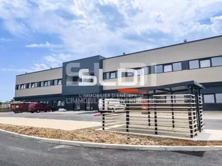 location local d'activités colombier saugnieu 69124