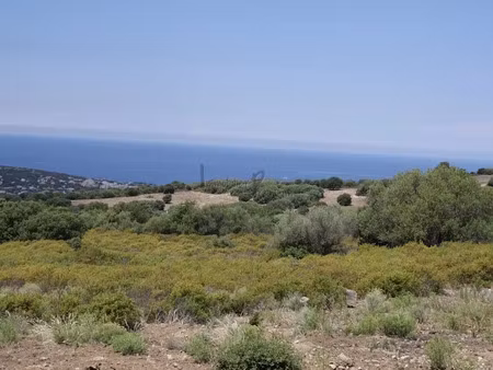 vente maison 10 pièces 310 m² à lumio (20260)  2 950 000 €