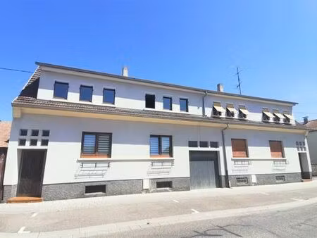 maison de luxe de 6 chambres en vente à biesheim  grand est