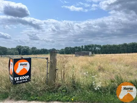 meldert - weide op +/-40are