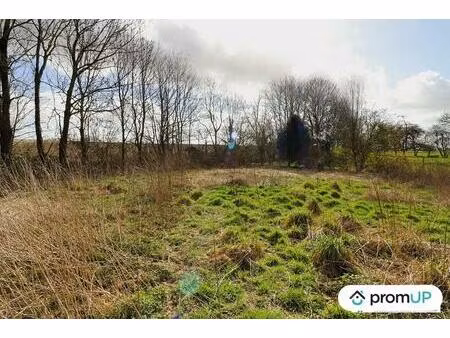 vente terrain 1397 m² beauval (80630)