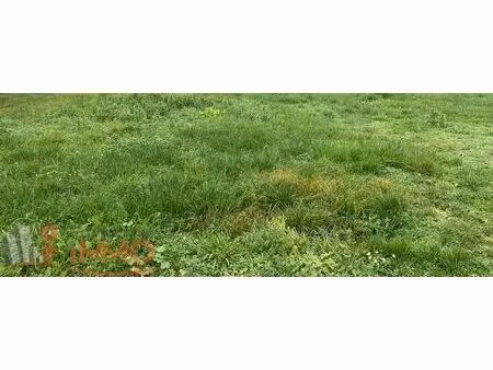 vente terrain 9457 m² châtel-censoir (89660)