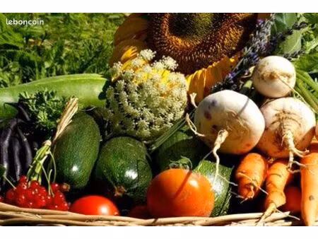 location jardin clermont-ferrand