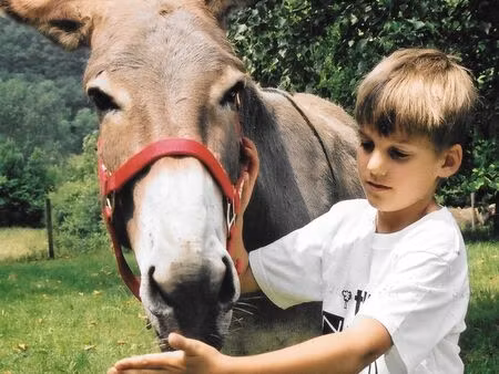 recherche pré pour pâture ânes