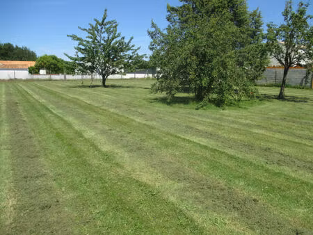 vente terrain 1000 m² le douhet (17100)