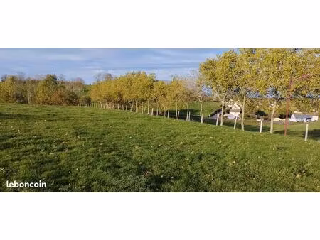 terrain 10000 m² mauriac