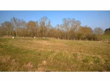 vente terrain à rablay-sur-layon (49750) : à vendre / rablay-sur-layon