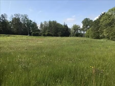 vente terrain 5880 m² saint-laurent-sur-gorre (87310)