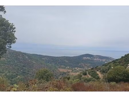 terrain de 6500 m2 - santa-reparata-di-balagna  corse
