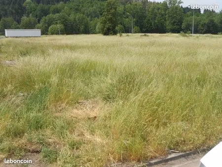 terrain 5000 m² constructible entreprise et particulier