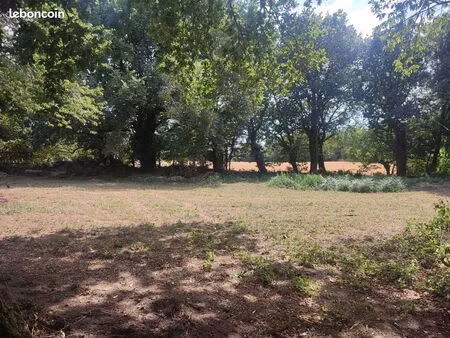 terrain constructible