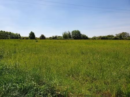 en vente terrain constructible 88 96 ares – 198 000 € |béthune