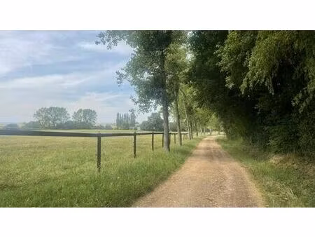 terrain de 470000 m2 en vente - bey  auvergne-rhône-alpes